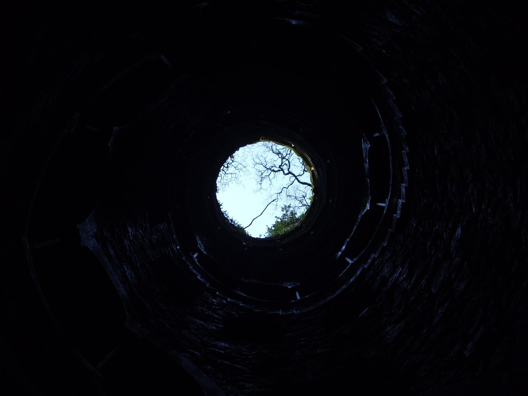 worms eyeview of well